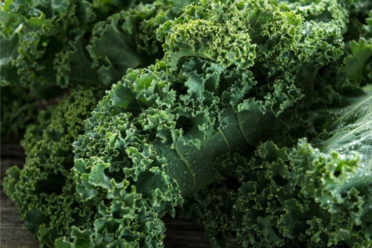 Detail of fresh kale leaves.