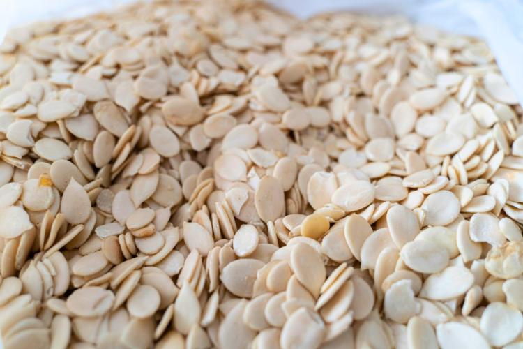 Egusi melon seeds.