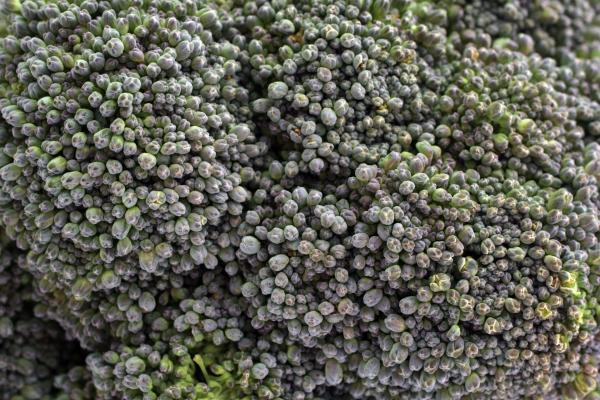 Close up of broccoli.