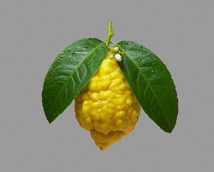 Citron.