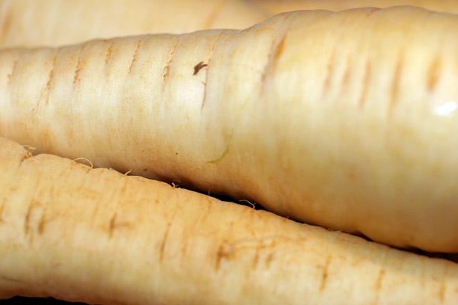 Fresh parsnips.