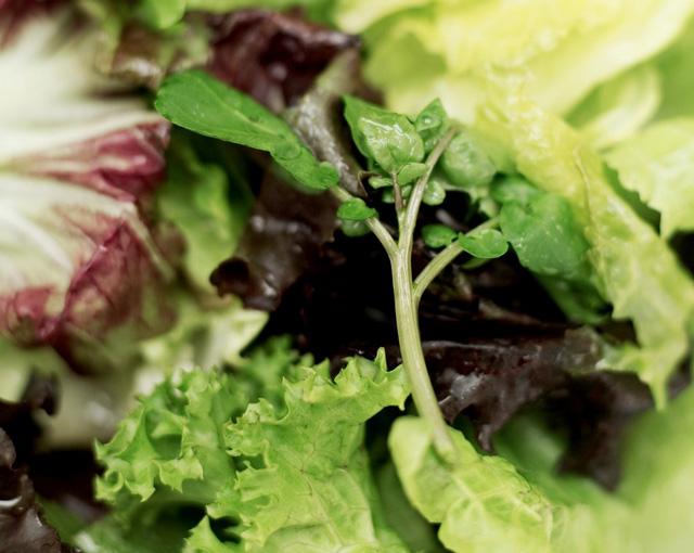 Varied salad leaves.