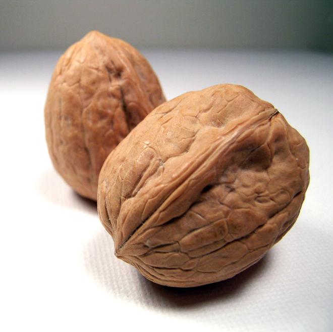 Two walnuts in the shell.