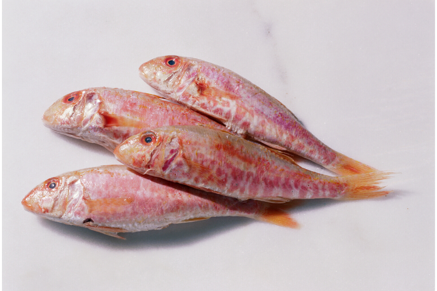 Three fresh red mullets.