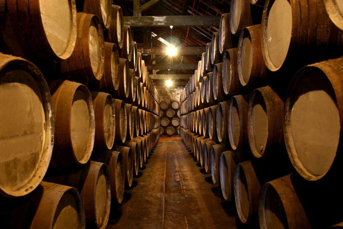 A large Port wine cellar.