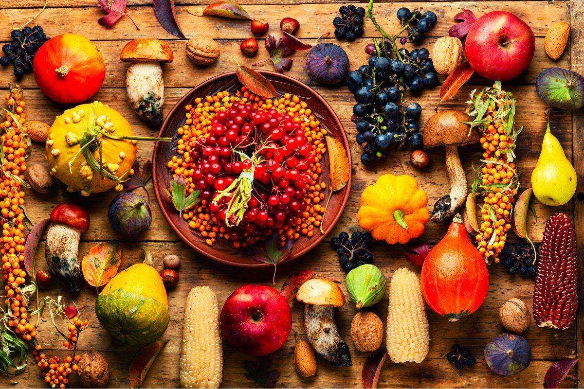A display of atumn food, from corn to mushrooms.