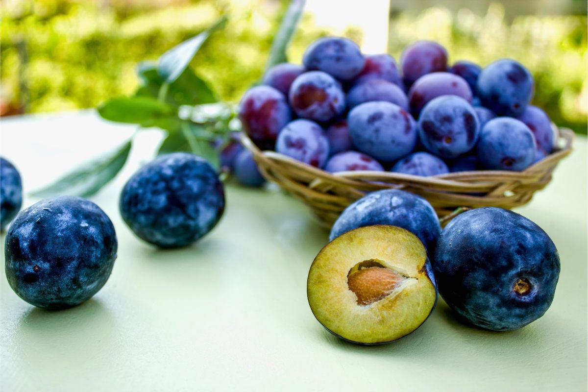 A basket of ripe Damson plums with several whole plums and one cut open to reveal its golden-yellow flesh, set against a green outdoor background.
