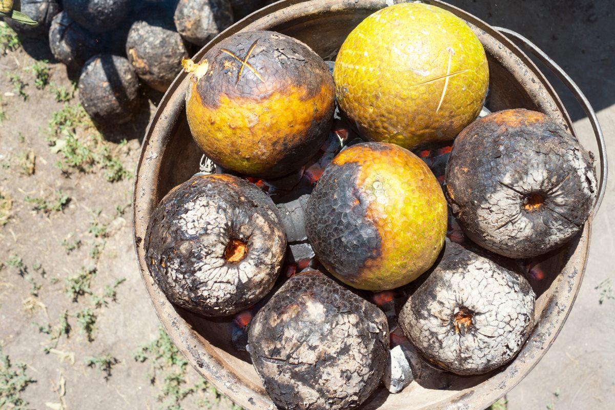 Roasting breadfruit over hot charcoal in an outdoor traditional cooking setup, with some fruits charred and others still partially green.