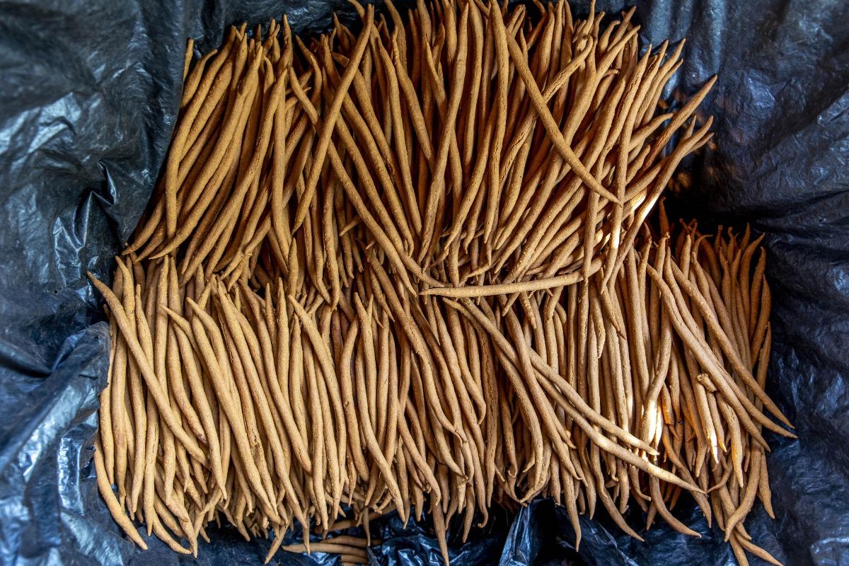 Bundles of long, thin brown klui-klui sticks, a Banin popular snack, on black plastic.