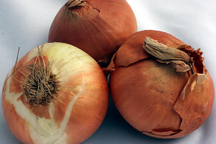 Three yellow onions with white interior.