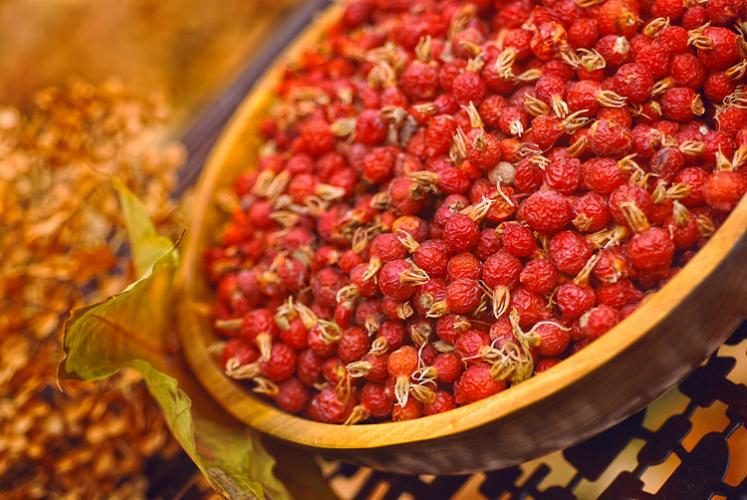 Wild rosehips in autumn, Montana.