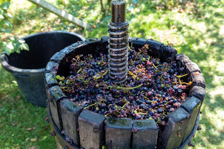 Wine press (old style)