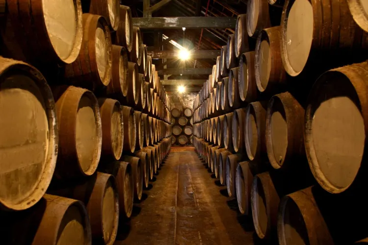 A large Port wine cellar.