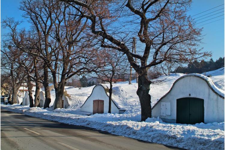 Austrian wine cellar in winter.