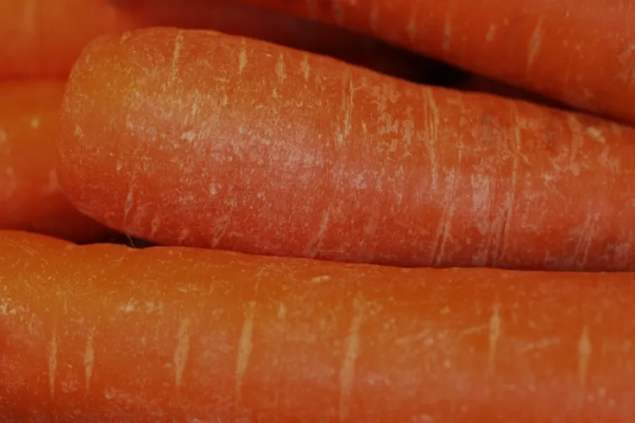 Carrots for juicing.