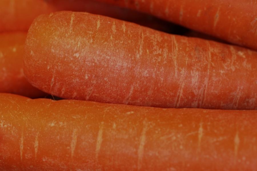Carrots for juicing.