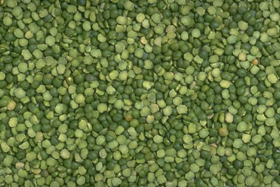 Dried split peas.