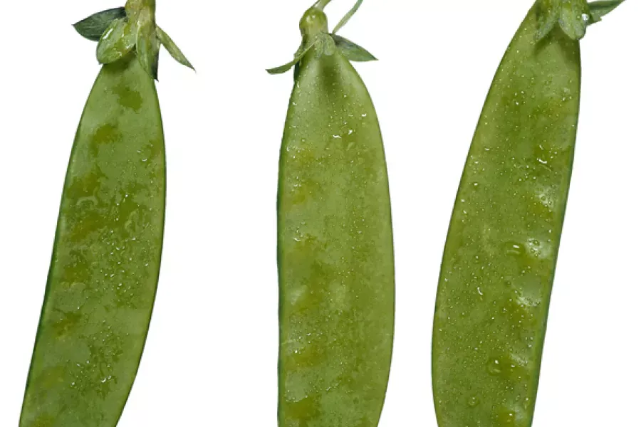 Mange tout, peas eaten whole.