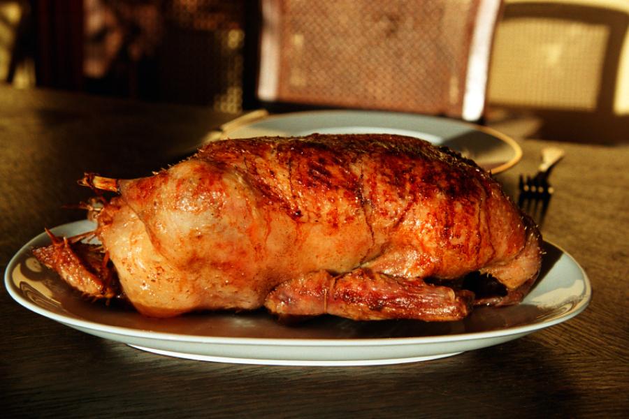 Roast duck.