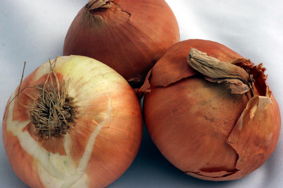 Three yellow onions with white interior.