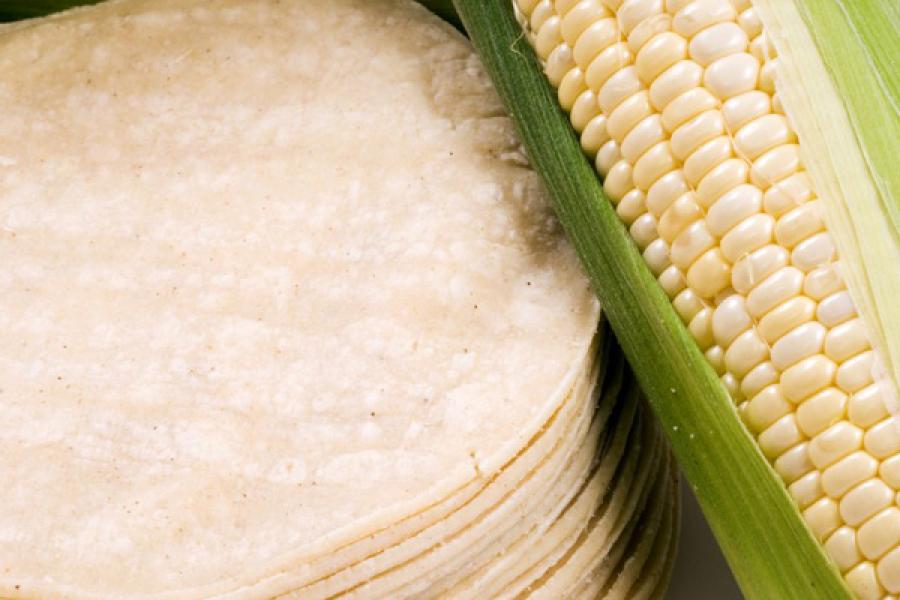 corn tortillas and corn husk.