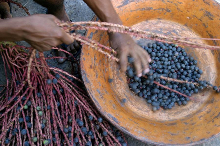 Acai berries.