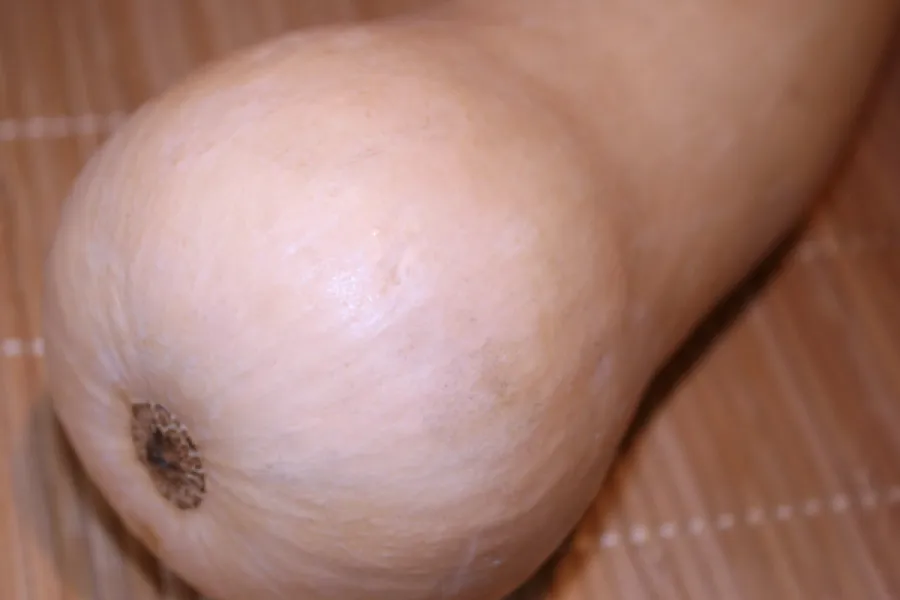 Detail of butternut squash.