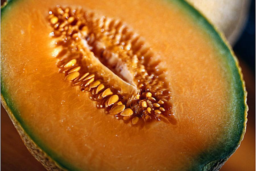 Cantaloupe melon halved.