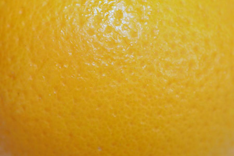 Close up of the skin of an orange.