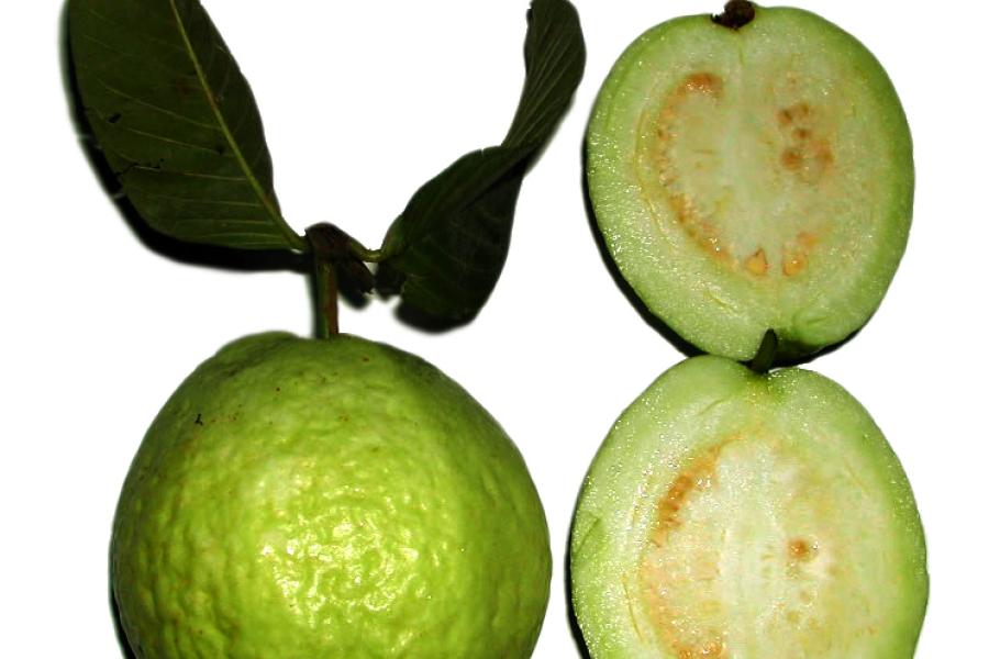 Guava.