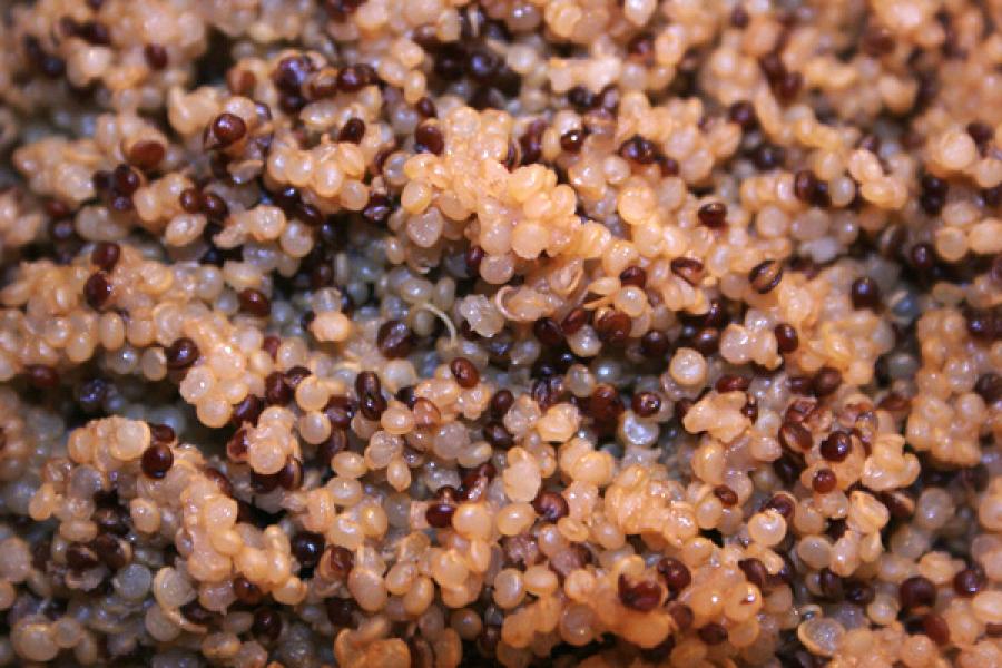 Read and pearl quinoa cooked.