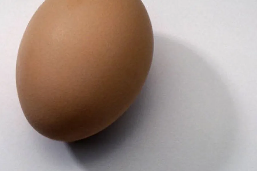 A single light brown egg.