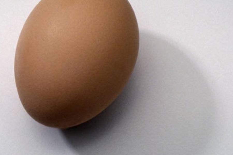 A single light brown egg.