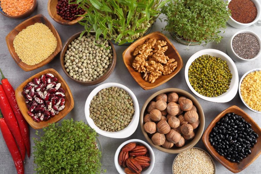 Assortment of organic seeds, nuts, and grains in bowls, including beans, lentils, walnuts, and fresh herbs.