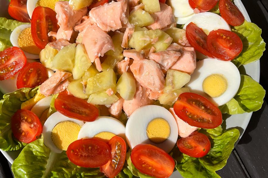 A salmon salad with chunks of salmon, diced cucumber, halved cherry tomatoes, hard-boiled egg slices, and fresh lettuce leaves, arranged on a white plate.