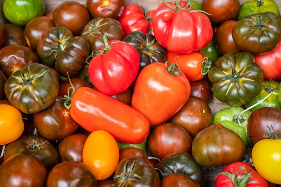 Selection of heritage tomatoes at a farmer's market.